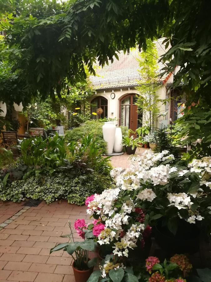 Faehrhaus Meissen B&B Kültér fotó