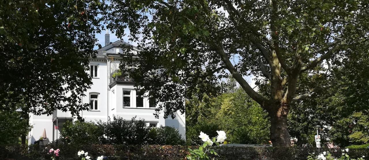 Faehrhaus Meissen B&B Kültér fotó