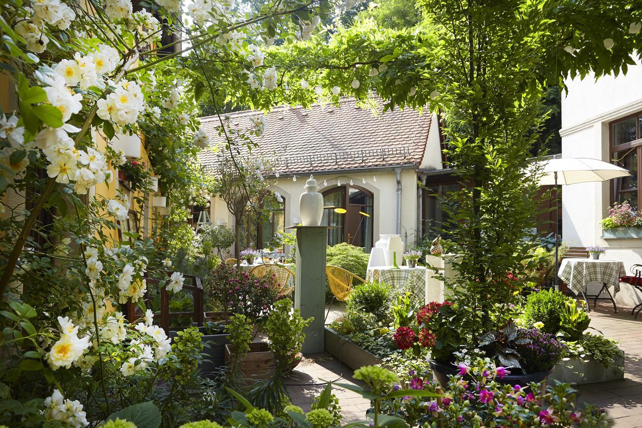 Faehrhaus Meissen B&B Kültér fotó